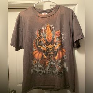 Vintage Harley-Davidson T-shirt, size L, brownish grey almost clay, dragon